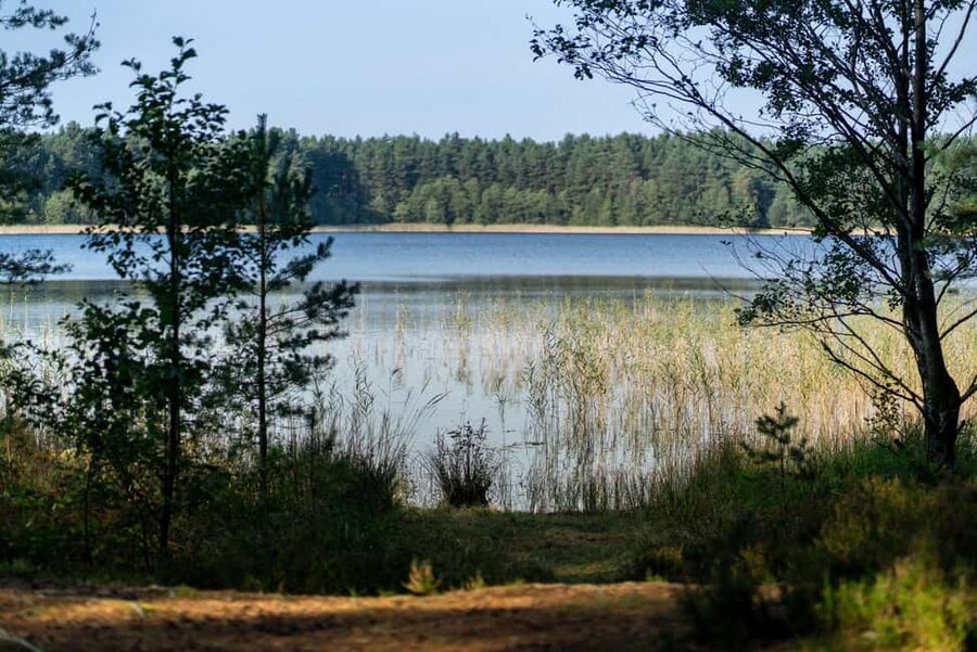 From Riga: Explore Latvian Nature With a Local Photographer - What the $24 price really covers