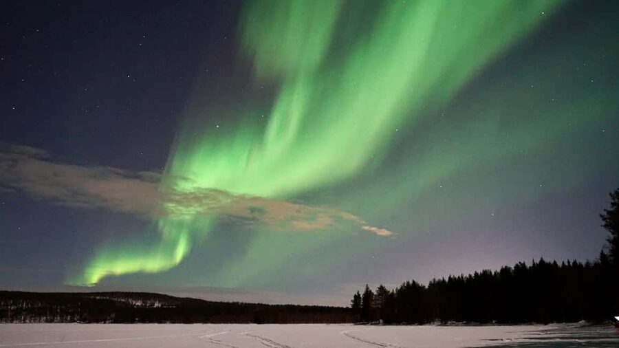 From Rovaniemi: Northern Lights Photo Tour with Pickup - Timing, pickup, and cancellation details