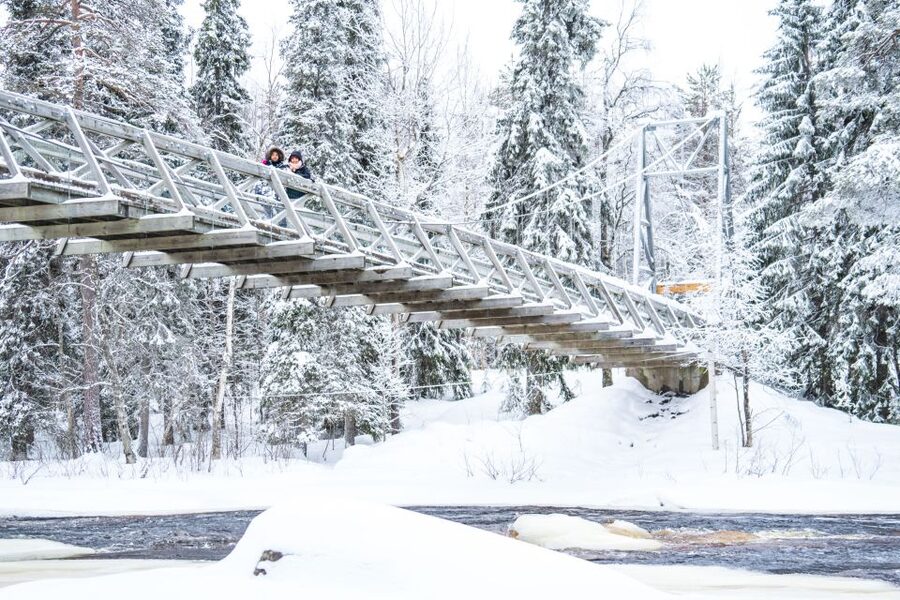 From Rovaniemi: Private Photoshoot in the Lappish Wilderness - A private pace with a practical limit