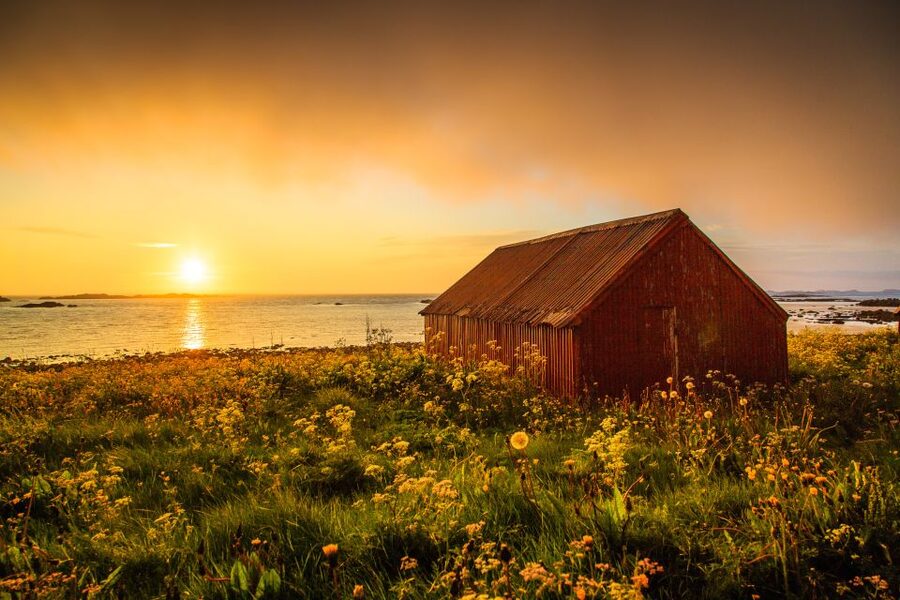 From Svolvær: Midnight sun tour with a photographer - Key points to know before booking