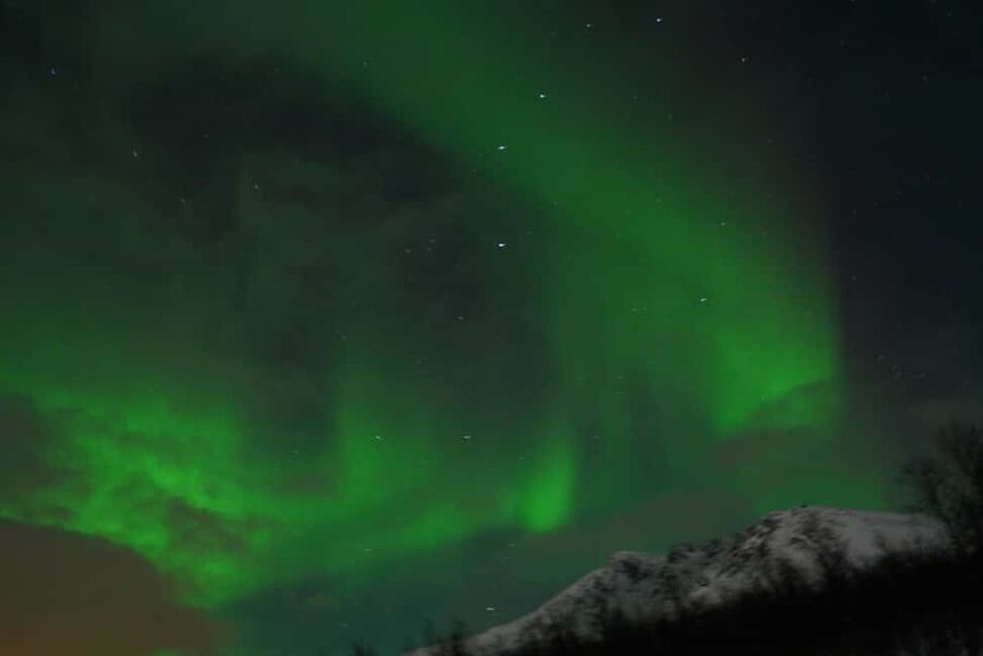 From Tromsø: Aurora Bus Tour with Snacks, Photos, and Drinks - Key points to know before you book