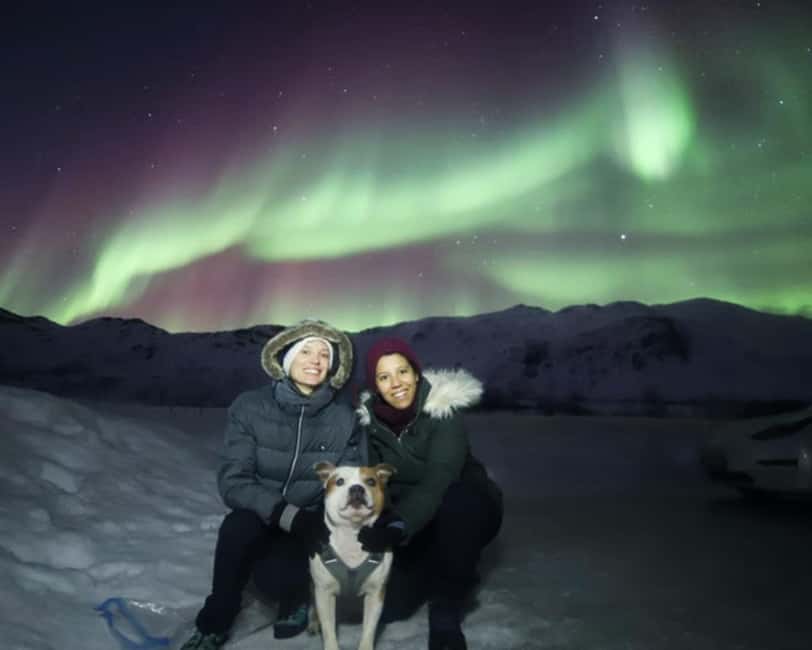 From Tromso: Northern Lights Photography Tour - Key points at a glance
