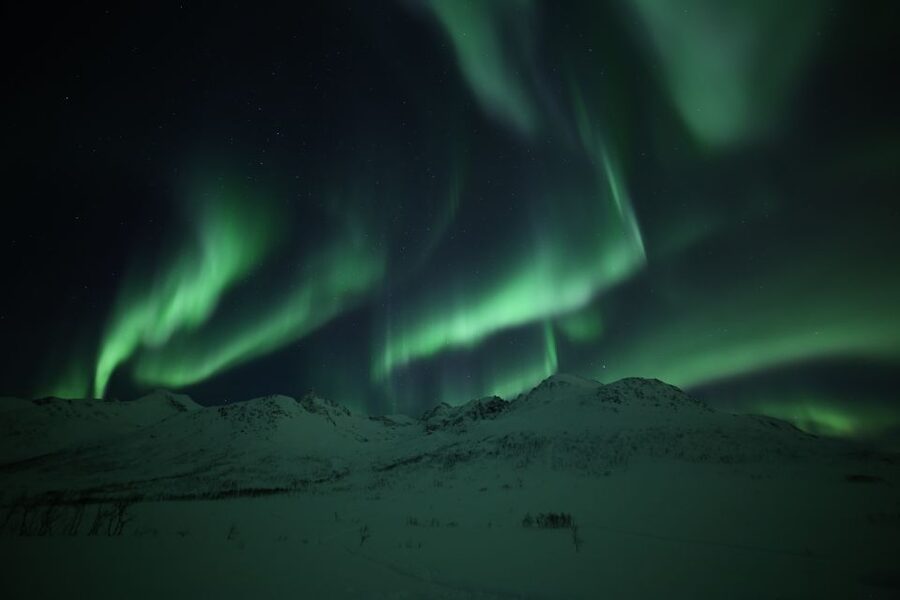 From Tromso: Northern Lights Photography Tour - Campfire time, hot chocolate, and marshmallows