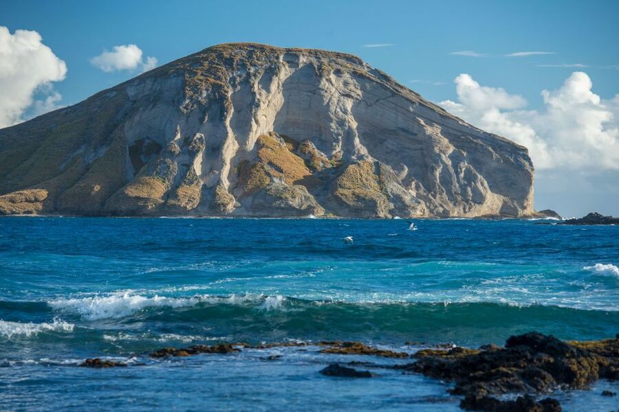 From Waikiki: Best of Oahu Photo Tour with Pickup - Who will enjoy this Oahu photo tour most