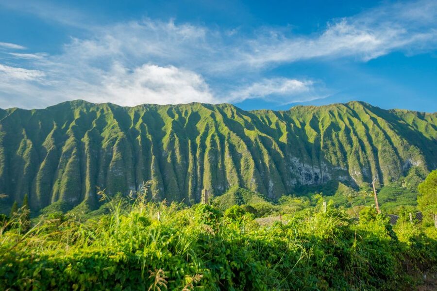 From Waikiki: Best of Oahu Photo Tour with Pickup - Should you book it?