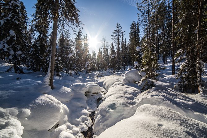 Frozen Waterfalls of Korouoma Canyon tour with Pro Photos & BBQ - The equipment can make or break the day