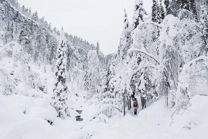 Frozen Waterfalls of Korouoma Canyon tour with Pro Photos & BBQ - Waterfalls, viewpoints, and changing conditions