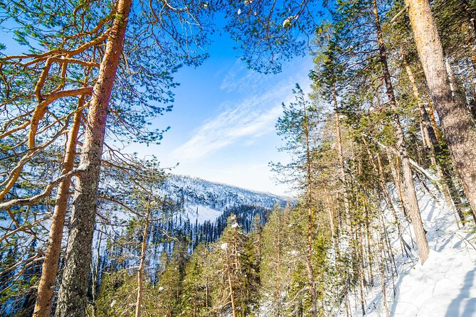 Frozen Waterfalls of Korouoma Canyon tour with Pro Photos & BBQ - What the photos add to the price