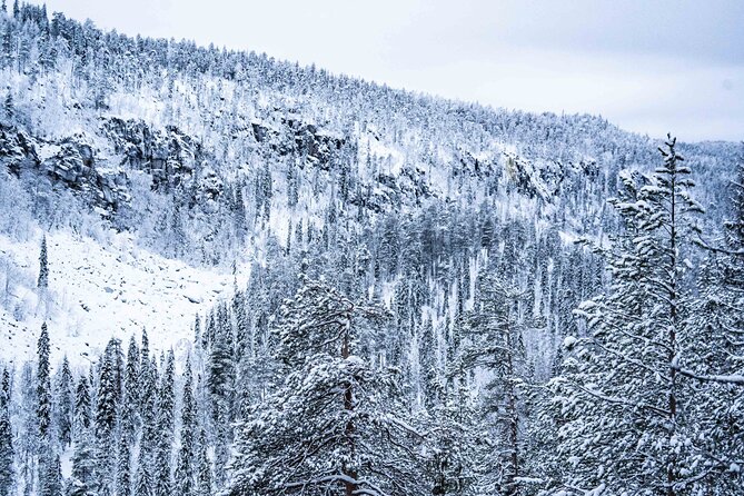 Frozen Waterfalls of Korouoma Canyon tour with Pro Photos & BBQ - Who should book this Korouoma experience?