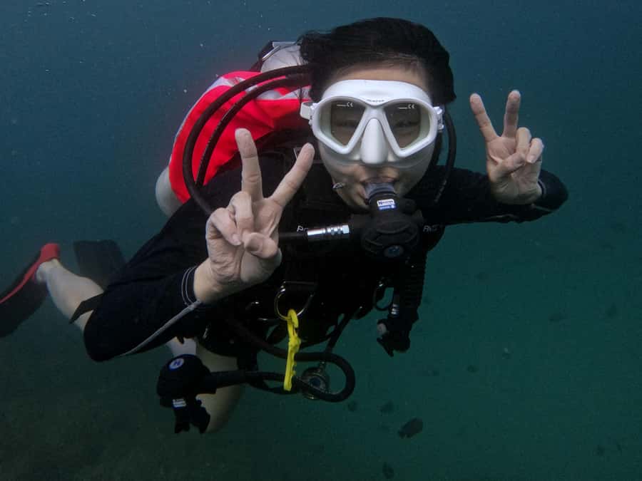 Fujairah: Try Diving Experience with underwater photos - Why Al Dana Island House Reef matters