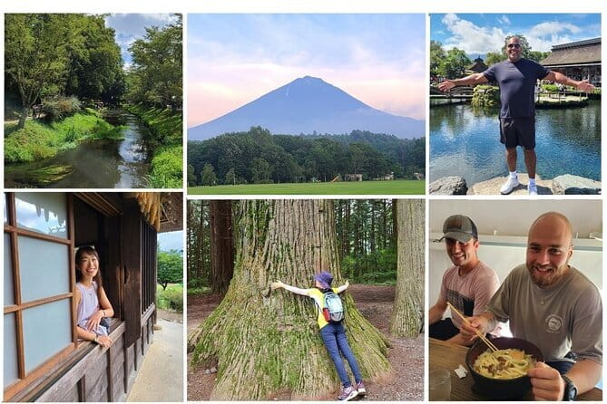 Fuji Photo Tour - Aokigahara Forest changes the mood completely