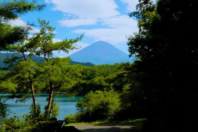 Fuji Photo Tour - Lake Kawaguchiko gives you the main stage
