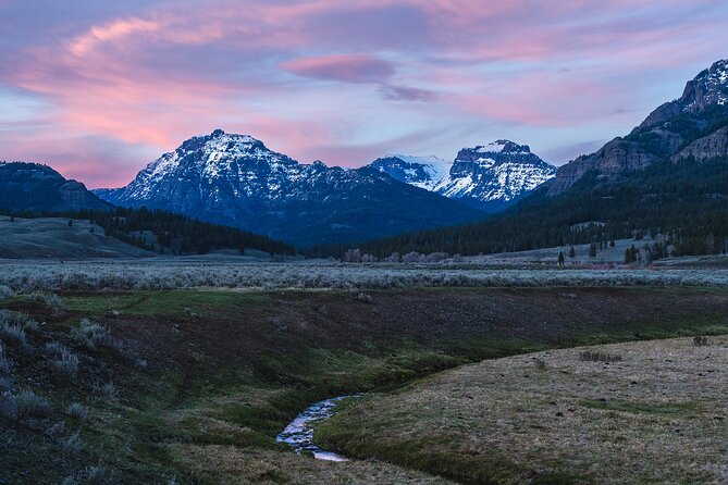 Full Day Guided Wildlife Photography Tour In Yellowstone - Lamar Valley at first light