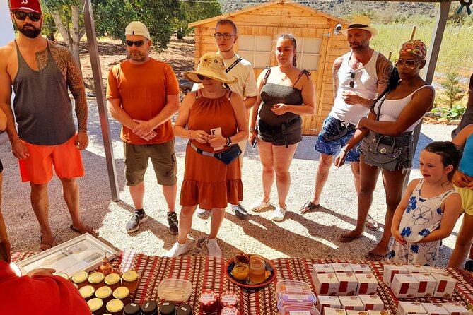 Full-Day Photo Tour in Algarve Countryside Private - Tunes and the plants of the Algarve