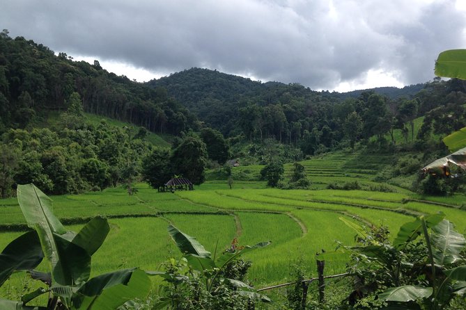 Full-Day Photography Tour in Chiang Mai - What the guide adds to the experience