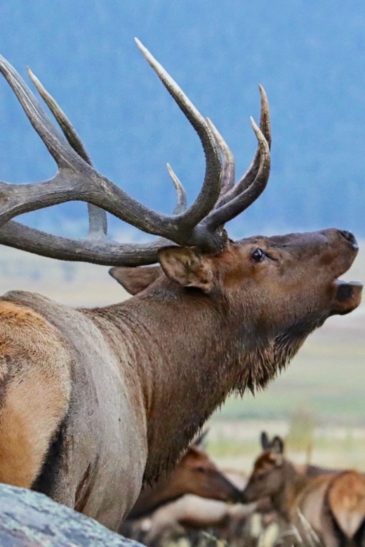 Full-Day RMNP Over the Top Tour - RMNPhotographer - Crossing the Continental Divide into Kawuneeche Valley