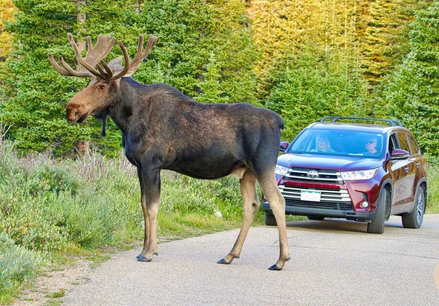 Full-Day RMNP Over the Top Tour - RMNPhotographer - A lunch stop in Grand Lake