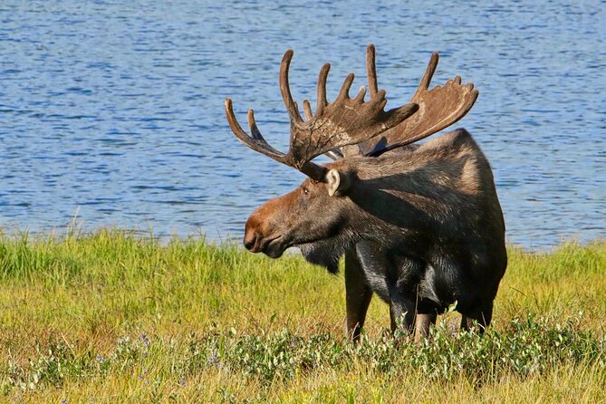 Full-Day Rocky Mountain National Park "Over The Top Tour" - RMNPhotographer - Why this tour covers so much in one day