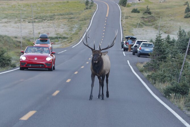 Full-Day Rocky Mountain National Park "Over The Top Tour" - RMNPhotographer - Is $199 per person a fair price?
