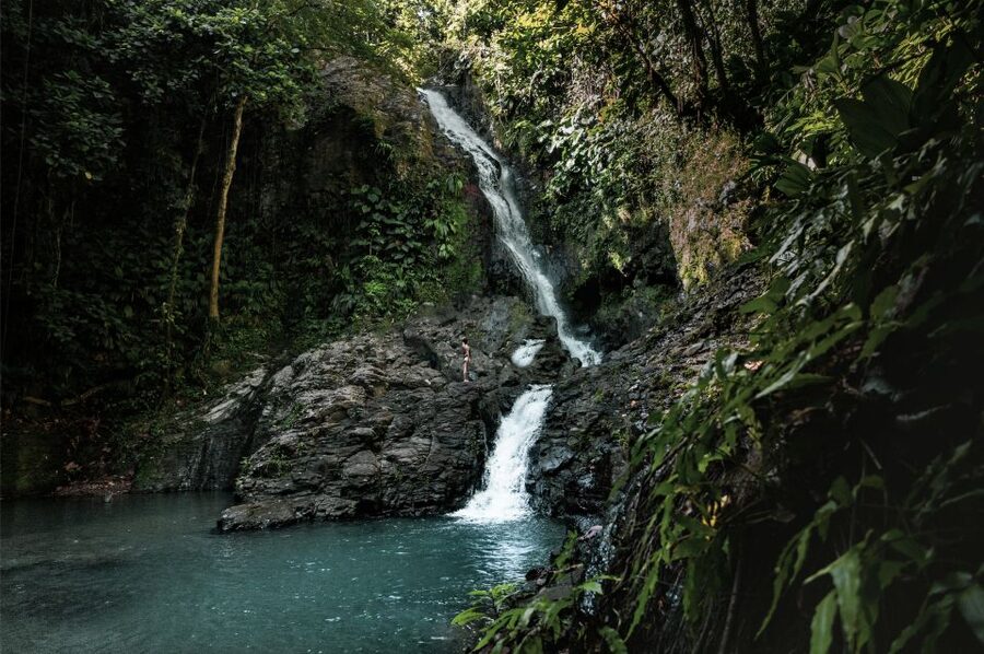 Full day tour: the best of the island w/photos drone sunset - Snorkeling with turtles