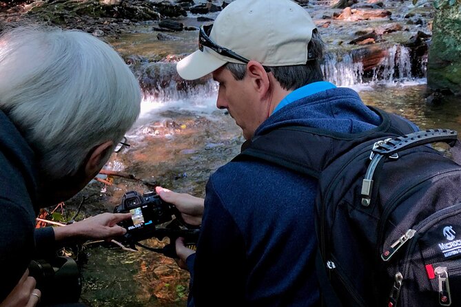 Full-Day Tour With Instruction in Vistas & Waterfall Photography - Pisgah National Forest, from broad views to quiet woods