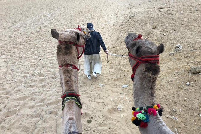 Giza Pyramids Sphinx Camel Ride Lunch with Camera Photographer - A 15-minute camel ride at Panorama Mountain