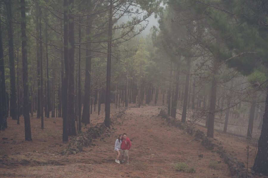 Gran Canaria: Full-Day Customizable Private Photography Tour - Tilos de Moya and the Greener North