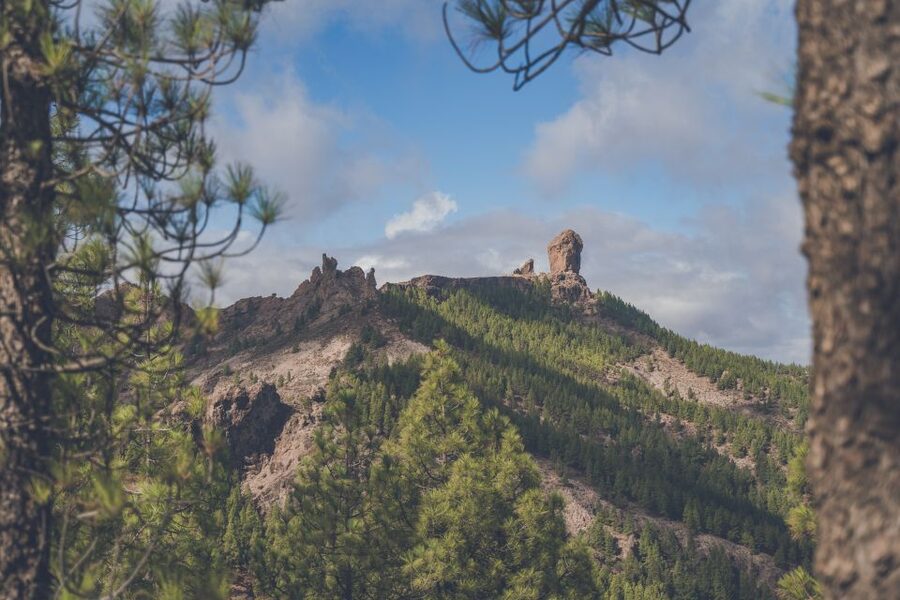 Gran Canaria: Full-Day Customizable Private Photography Tour - What the $324 Price Really Buys