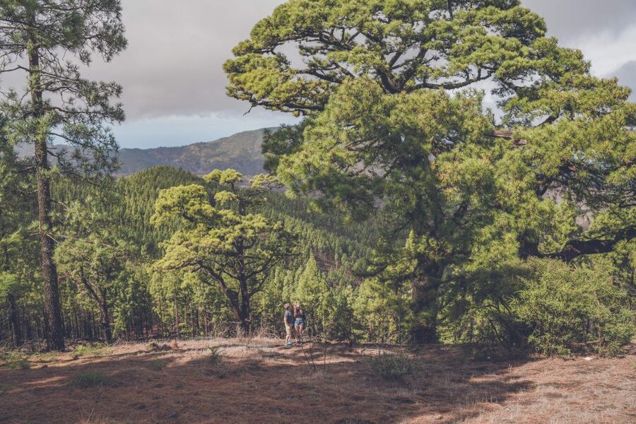 Gran Canaria: Full-Day Customizable Private Photography Tour - Pickup, Comfort, and What to Pack