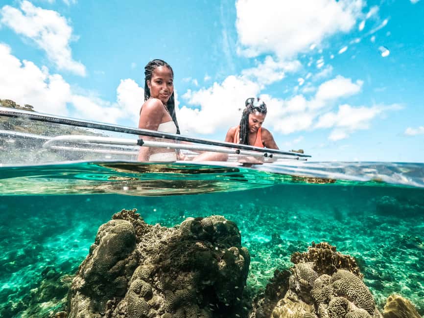 Grenada: Clear Kayak Tour with Drone Photoshoot - The 90-minute reef route