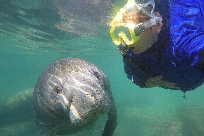 Guided Semi-Private Snorkel Tour (w/ FREE Photos!) - Key details before you book