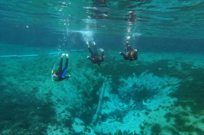 Guided Semi-Private Snorkel Tour (w/ FREE Photos!) - What the $79 price includes