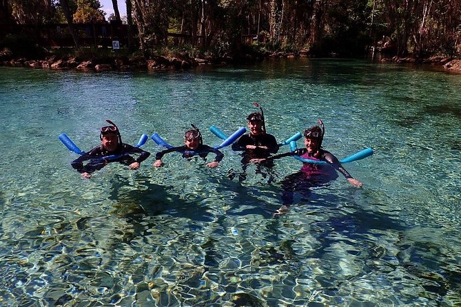 Guided Small Group Manatee Snorkeling Tour with In-Water Photographer - Check-in, wetsuits, and the short safety lesson