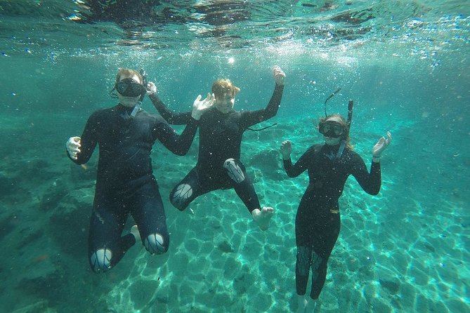 Guided Small Group Manatee Snorkeling Tour with In-Water Photographer - Cruising toward the springs and manatee habitat