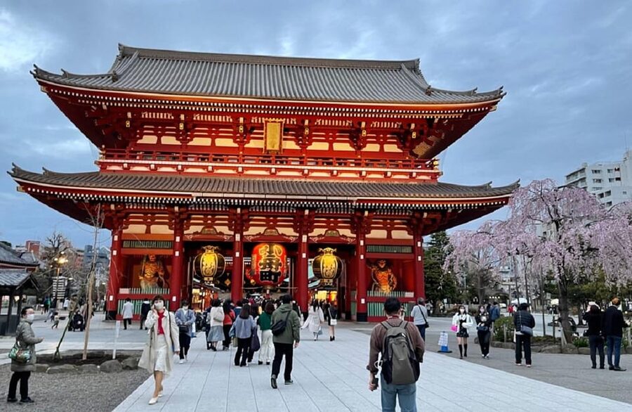 Guided Tour of Walking and Photography in Asakusa in kimono - Choosing a kimono and hairstyle