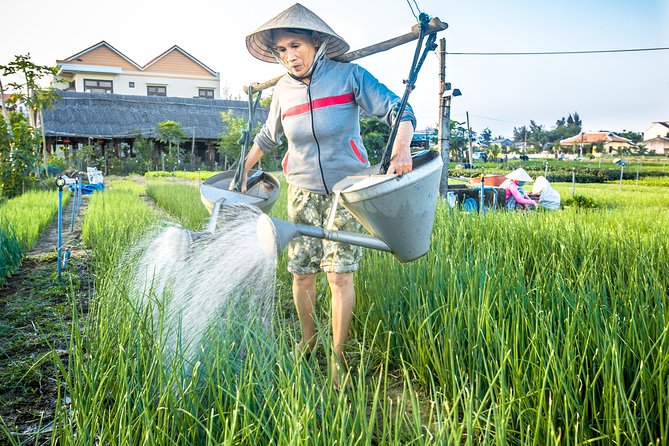 Half-day Hoi An Sunrise Or Sunset Photo Tour - Why the edges of Hoi An make better photo subjects