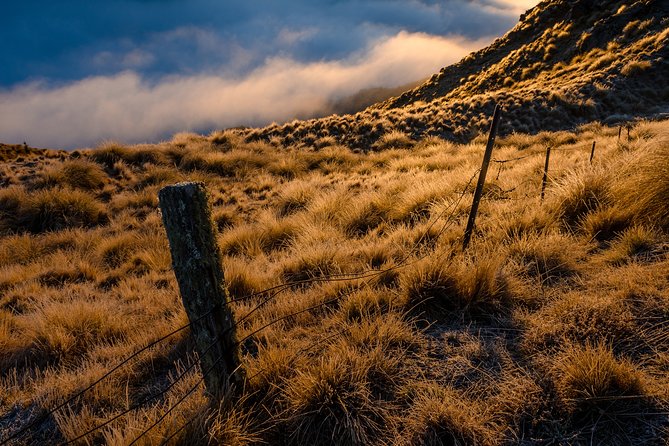 Half-Day Queenstown Photography Tour - Why the private format matters