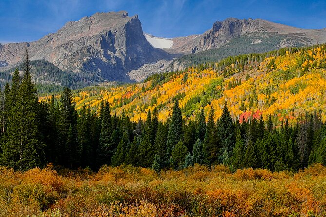Half-Day Rocky Mountain National Park "Mountains to Sky Tour" - RMNPhotographer - Key points to know before booking