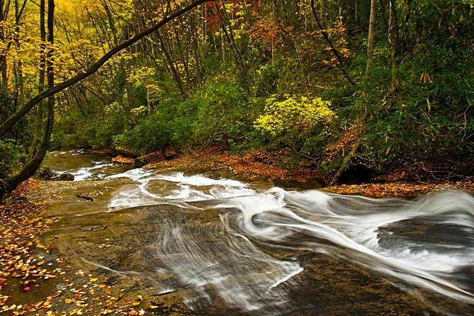 Half-Day Tour With Instruction in Vistas & Waterfall Photography - Forests and quieter compositions