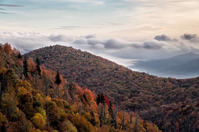 Half-Day Tour With Instruction in Vistas & Waterfall Photography - Instruction from two working photographers