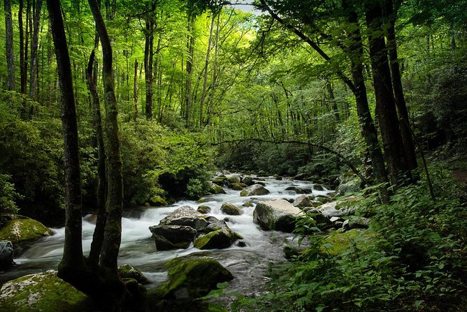 Half-Day Tour With Instruction in Vistas & Waterfall Photography - What the small group changes