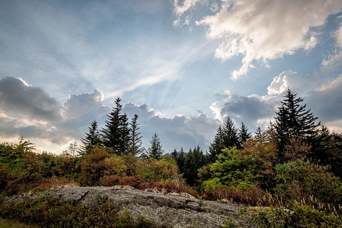 Half-Day Tour With Instruction in Vistas & Waterfall Photography - Price, equipment, and what to pack