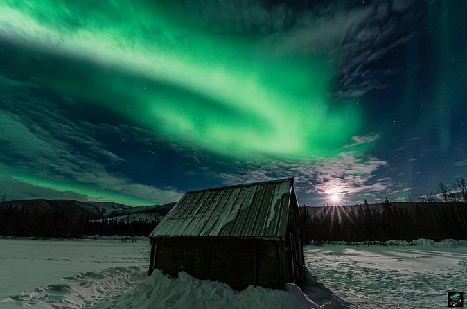 Half Night Personalized Aurora Chase and Photography - Who will enjoy this most?
