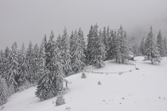 Hike in the Wild Private Photo Tour - Is $115.19 good value?