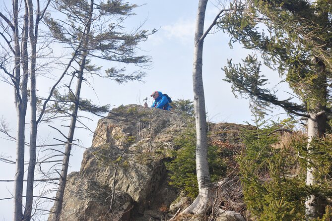 Hike in the Wild Private Photo Tour - Seven hours among forests and meadows