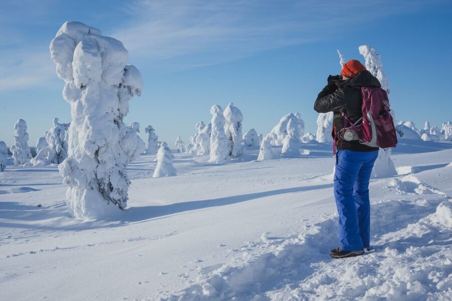 Hiking in Riisitunturi National Park with Photographer - Who will enjoy this day most?