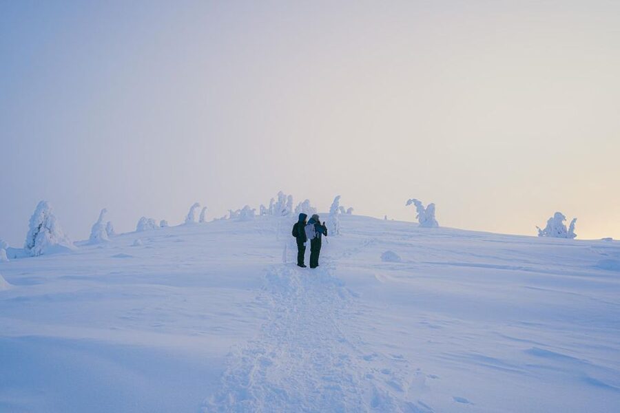 Hiking in Riisitunturi National Park with Photographer - A five-kilometre walk through winter scenery
