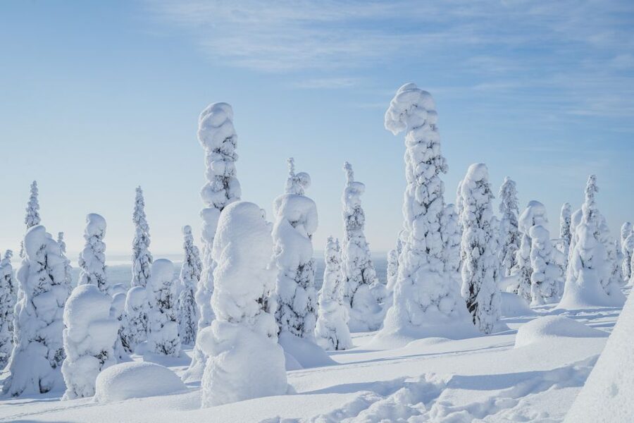 Hiking in Riisitunturi National Park with Photographer - The Rovaniemi pickup and nearly five-hour drive