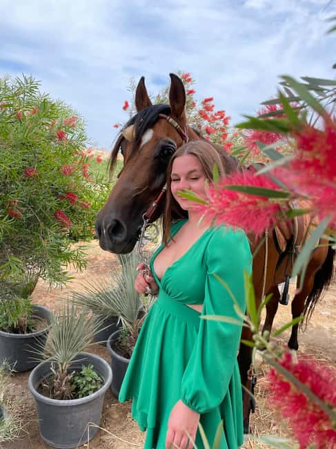 Hurghada: Desert & Sea Horse Riding with + 360° Photos - Getting comfortable in the saddle