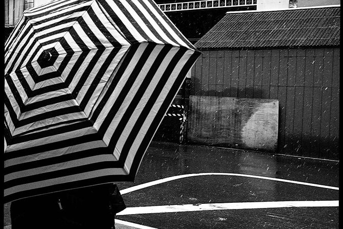 Iconic New York City Photography Tour - What the four-hour session covers